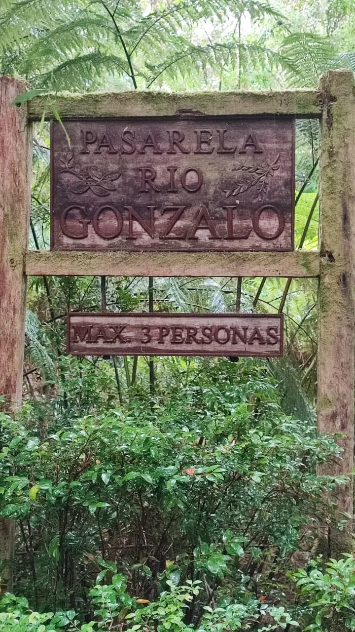 Senderismo en bosque